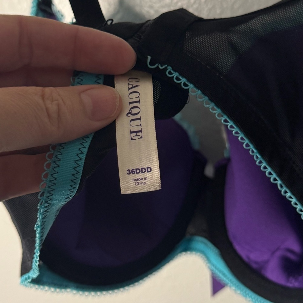 Cacique Bra - Picture 4 of 4